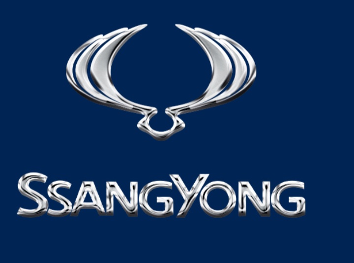 قطعات سانگ یانگ