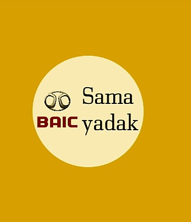 دیسک چرخ عقب سابرینا